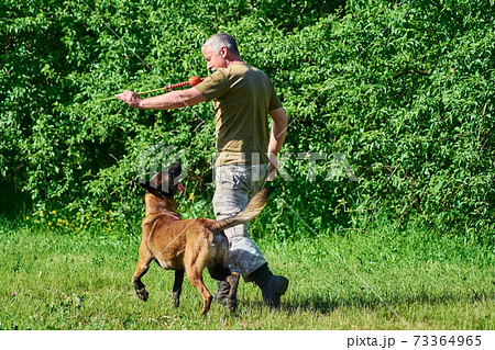 The man is holding the toy to attract the dog. The man is holding the toy to attract the dog. 73364965