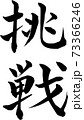 挑戦 73366246
