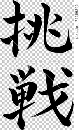 挑戰 73366246