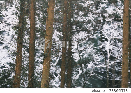 雪が降る山のイメージ素材 73366533