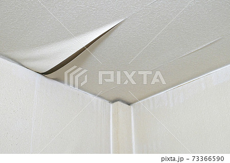 室内コーナーの汚れ 室内コーナーの汚れ 73366590