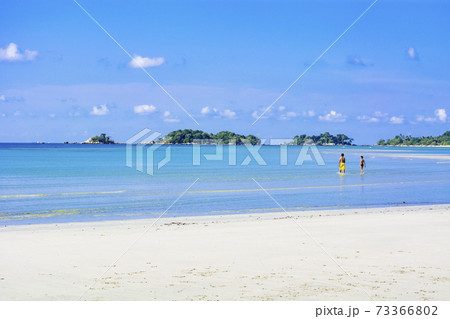 ビンタン島の美しいサンゴ礁の海 ビンタン島の美しいサンゴ礁の海 73366802