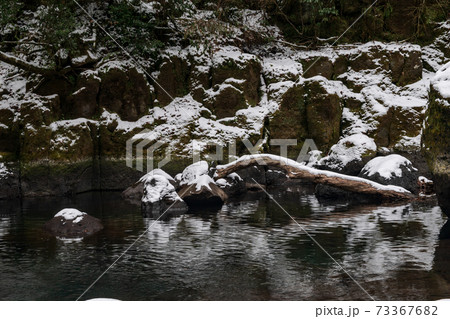 冬の菊池渓谷の雪と氷の風景 冬の菊池渓谷の雪と氷の風景 73367682