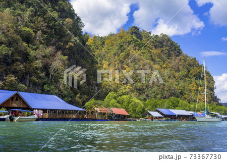 カヤックツアーで行くマングローブの海 カヤックツアーで行くマングローブの海 73367730