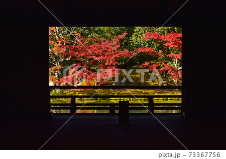京都の紅葉　天龍寺 73367756