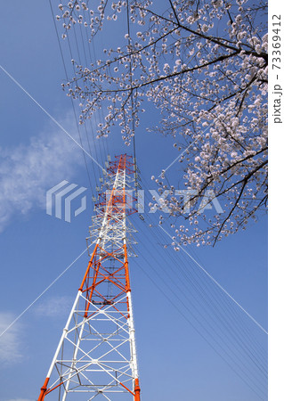 鉄塔の春、桜との共演風景 鉄塔の春、桜との共演風景 73369412