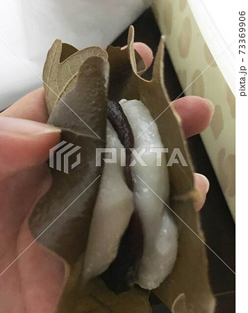 自家製、柏餅です 自家製、柏餅です 73369906