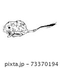 ネズミ（スナネズミ　絶滅危惧種）の線画イラスト 73370194