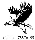 ワシ（オオワシ　絶滅危惧種）の線画イラスト 73370195