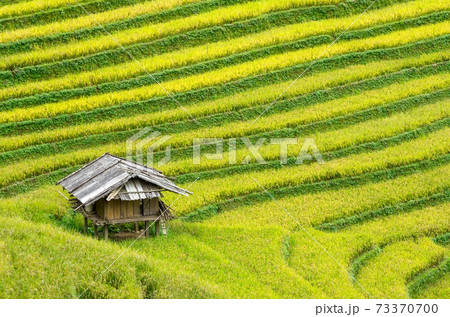 Mu Cang Chai Mu Cang Chai 73370700