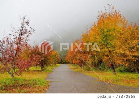 冬 ウインター ウィンター 73370868