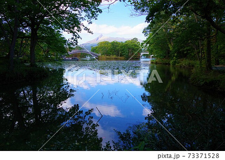 北海道 大沼国定公園 湖月橋と駒ヶ岳を望む 北海道 大沼国定公園 湖月橋と駒ヶ岳を望む 73371528