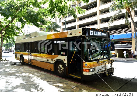 ハワイの休日 73372203