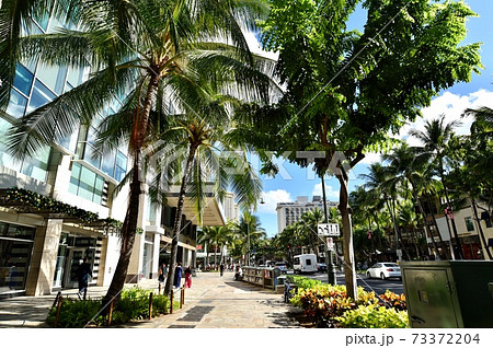 ハワイの休日 73372204