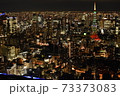 地上60階から見下ろした東京の夜景 73373083