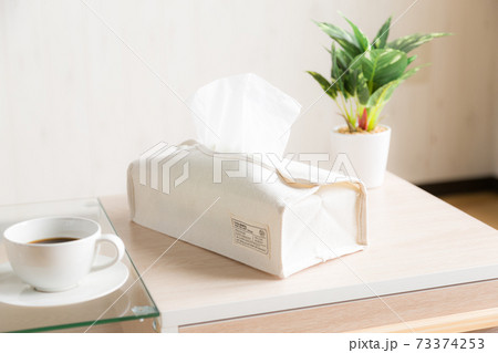テーブルに置いたティッシュケース 73374253