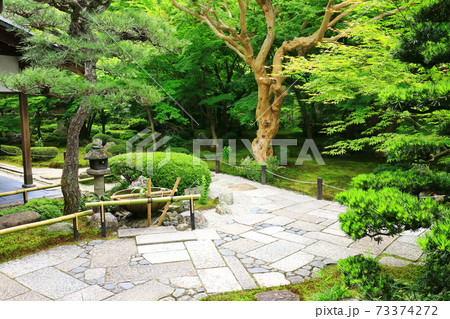 新緑の圓光寺 73374272