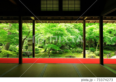 新緑の圓光寺 73374273