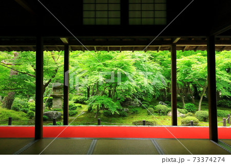 新緑の圓光寺 新緑の圓光寺 73374274