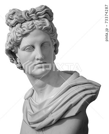 White gypsum copy of ancient statue of Apollo God of Sun head isolated on a white background. Plaster sculpture of man face. Renaissance portrait 73374287