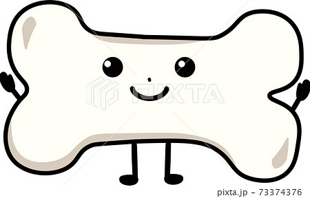 健康な骨 73374376