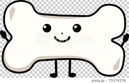 健康な骨 73374376