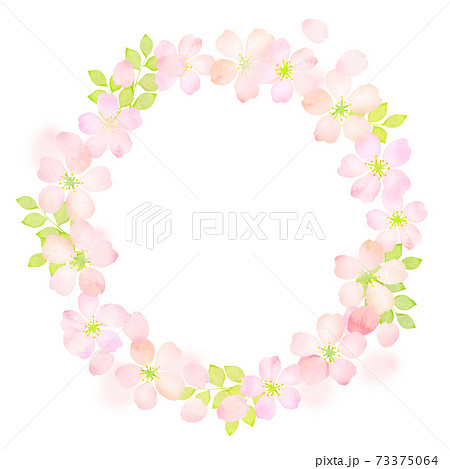 桜　リース　背景素材 73375064