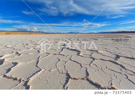 Salinas in Argentina 73375403