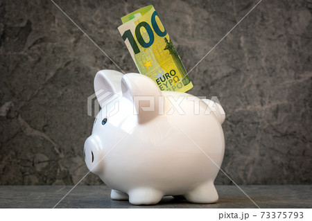 Piggy bank with one hundred Euro note Piggy bank with one hundred Euro note 73375793