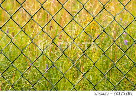 Metal mesh on a nature background Metal mesh on a nature background 73375865