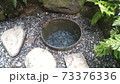 明治神宮　清正井 73376336