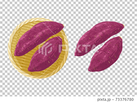 さつまいものイラスト さつまいものイラスト 73376780