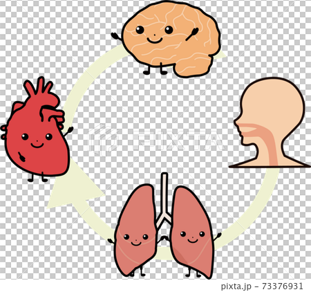 Emergency ABCD approach 73376931