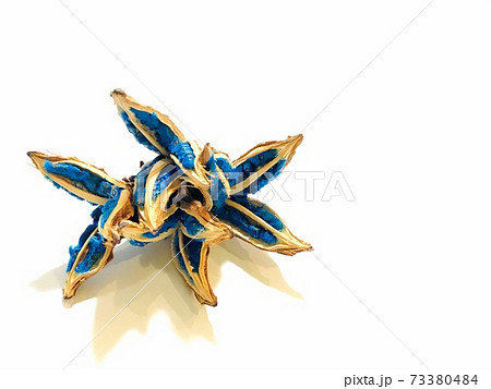 旅人の木の実（タビビトの木の実） 73380484