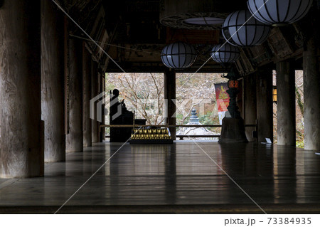 真冬の長谷寺　寒ぼたんと雪の華 73384935