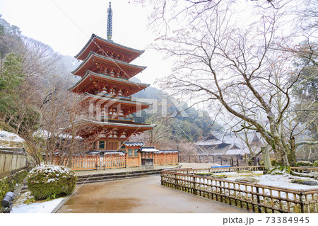 真冬の長谷寺 寒ぼたんと雪の華 真冬の長谷寺 寒ぼたんと雪の華 73384945