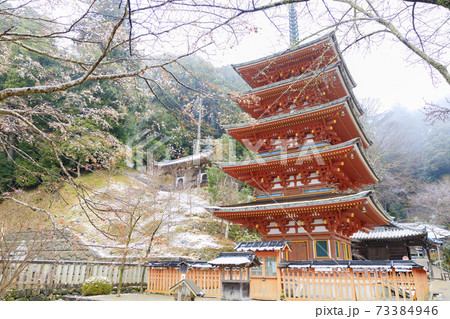 真冬の長谷寺 寒ぼたんと雪の華 真冬の長谷寺 寒ぼたんと雪の華 73384946