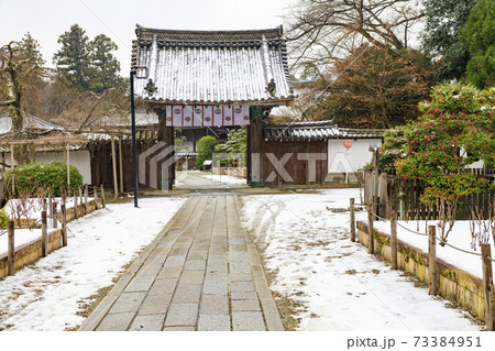 真冬の長谷寺　寒ぼたんと雪の華 73384951