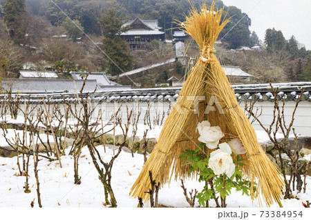真冬の長谷寺 寒ぼたんと雪の華 真冬の長谷寺 寒ぼたんと雪の華 73384954