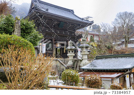 真冬の長谷寺　寒ぼたんと雪の華 73384957