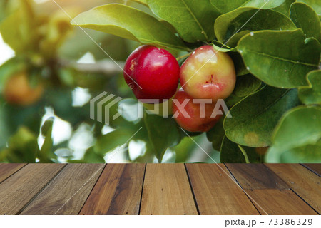 Wooden table on Acerola cherry and leaves background. Mock up for your product display or montage 73386329