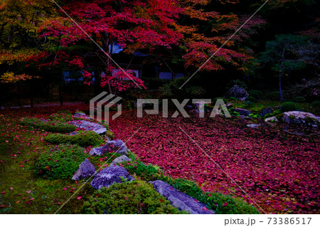 【京都】南禅院（紅葉） 73386517