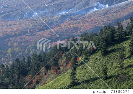 白煙をあげる白根山(秋の群馬県 渋峠) 白煙をあげる白根山(秋の群馬県 渋峠) 73386574