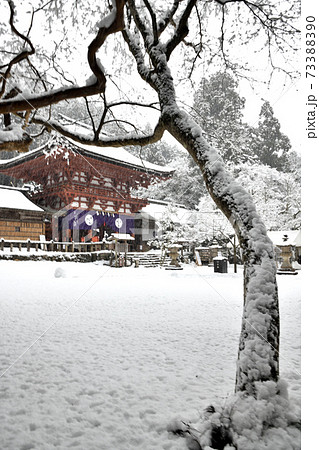 雪が降る、丹生都比売神社の楼門 73388390