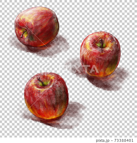 りんごの写実的な手描き水彩画風イラスト 個別 影あり のイラスト素材