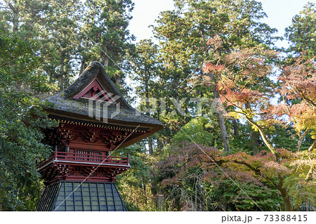 飯高檀林跡 鼓楼と紅葉 飯高檀林跡 鼓楼と紅葉 73388415