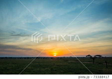 アフリカサファリ 朝焼けの風景 アフリカサファリ 朝焼けの風景 73388417