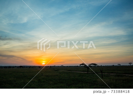 アフリカサファリ 朝焼けの風景 アフリカサファリ 朝焼けの風景 73388418