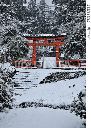 丹生都比売神社　鳥居の雪景色 73388537