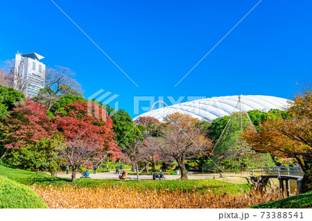 東京　秋の小石川後楽園 73388541